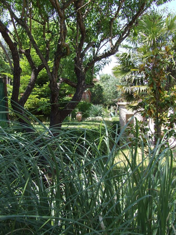 Bed and Breakfast Lou Pin Dou Papet Roquevaire Camera foto